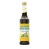 Monin Sugar-Free Irish Creme Coffee Syrup, 750 Ml