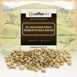 El Salvador Green Coffee