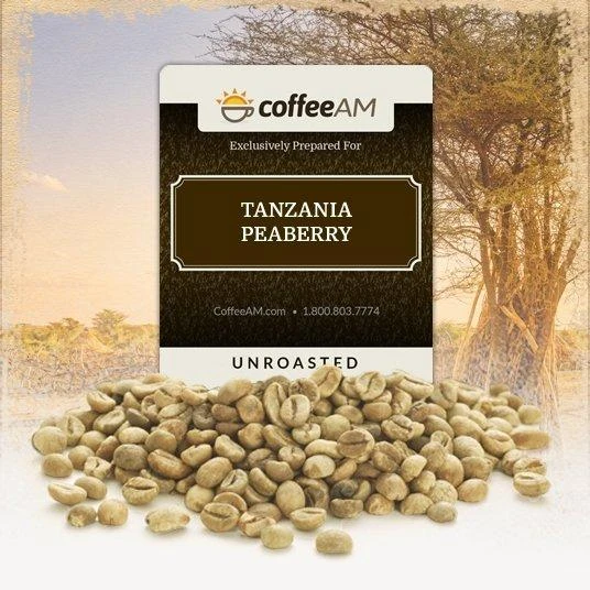 Tanzania Peaberry Green Coffee 1 Tanzania Peaberry Green Coffee