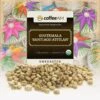 Fair-Trade Organic Guatemala Green Coffee