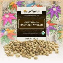 Fair-Trade Organic Guatemala Green Coffee