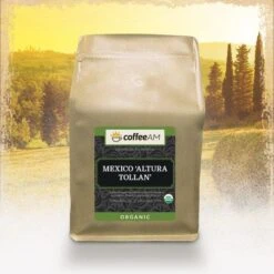 Organic Mexico 'Altura Tollan' Coffee