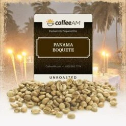 Panama Boquete Green Coffee
