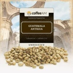 Guatemala Antigua Green Coffee