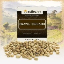 Brazil Cerrado Green Coffee