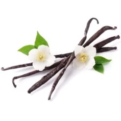 Gourmet Vanilla Powder 2-Pound Bag