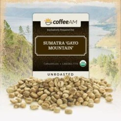 Fair-Trade Organic Sumatra 'Gayo Mountain' Green Coffee