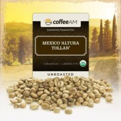 Organic Mexico 'Altura Tollan' Green Coffee